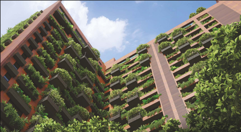 Property RNL025